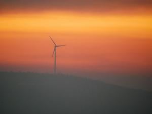 Endangered hawk could threaten massive wind, solar project in Tri-Cities