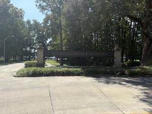 Louisiana projects named finalists in $50 million Gulf Futures challenge