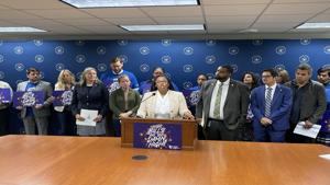 Lawmakers propose ‘Ratepayer Bill of Rights’ to address energy prices