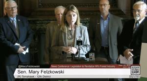 Wisconsin lawmakers propose incentives for aviation fuel plant in Hayward