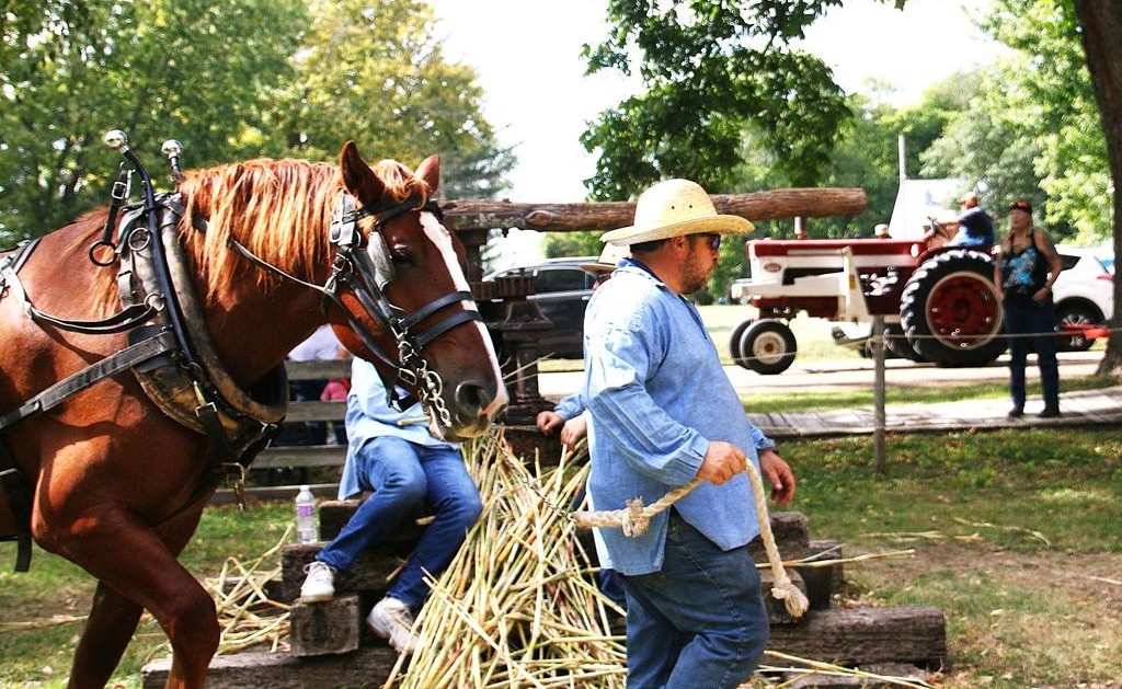 2025 Jordbruksdagarna, September 27 and 28