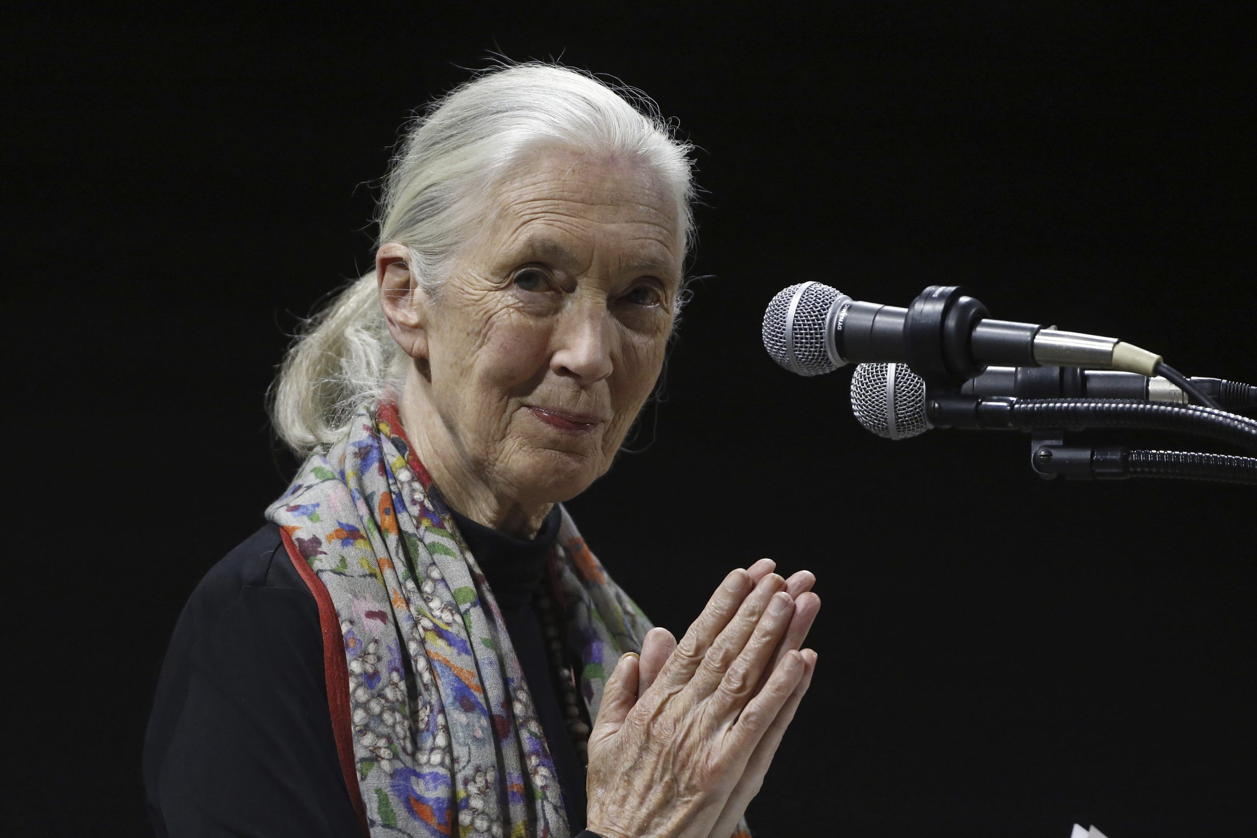 Environmentalists, politicians, celebrities recall life and influence of primatologist Jane Goodall