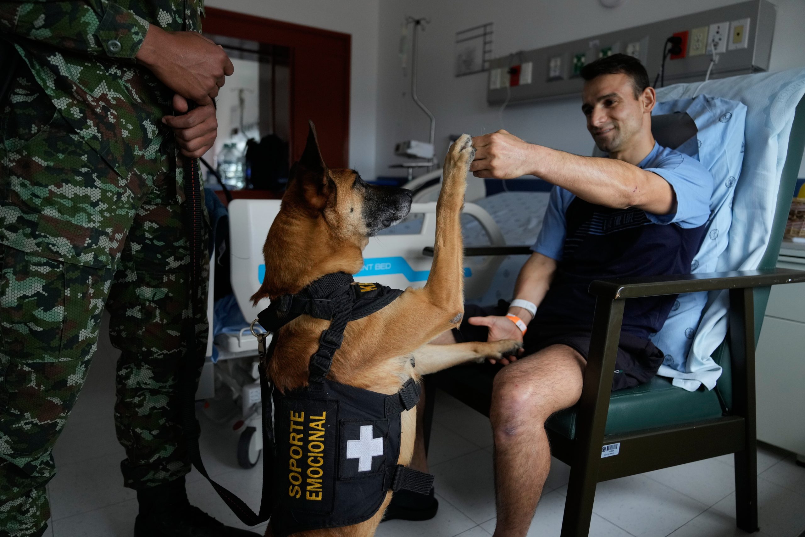 Colombian soldiers find solace in ‘furry force’ emotional support dogs