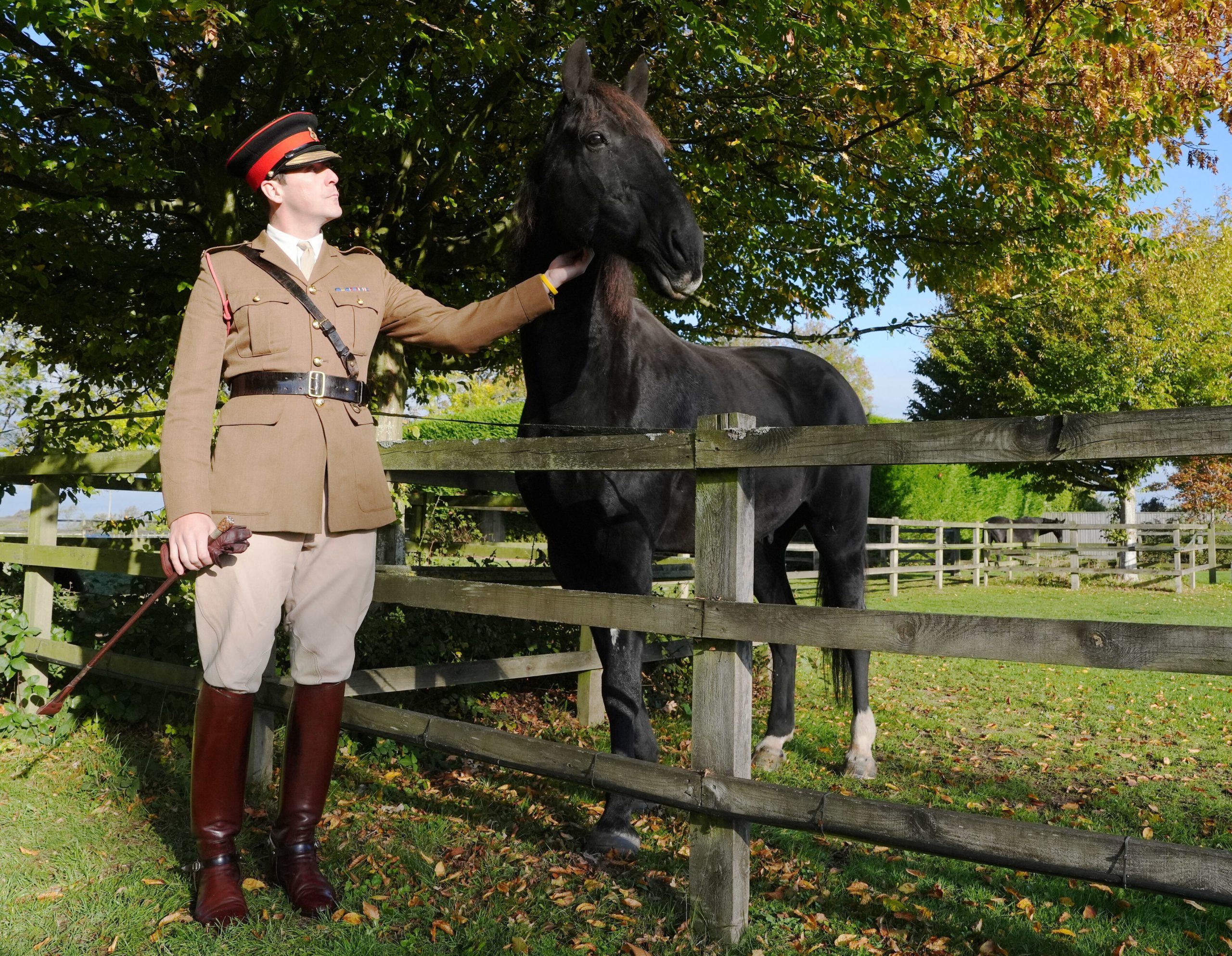 British army horse that galloped through London after being spooked gets well-deserved retirement