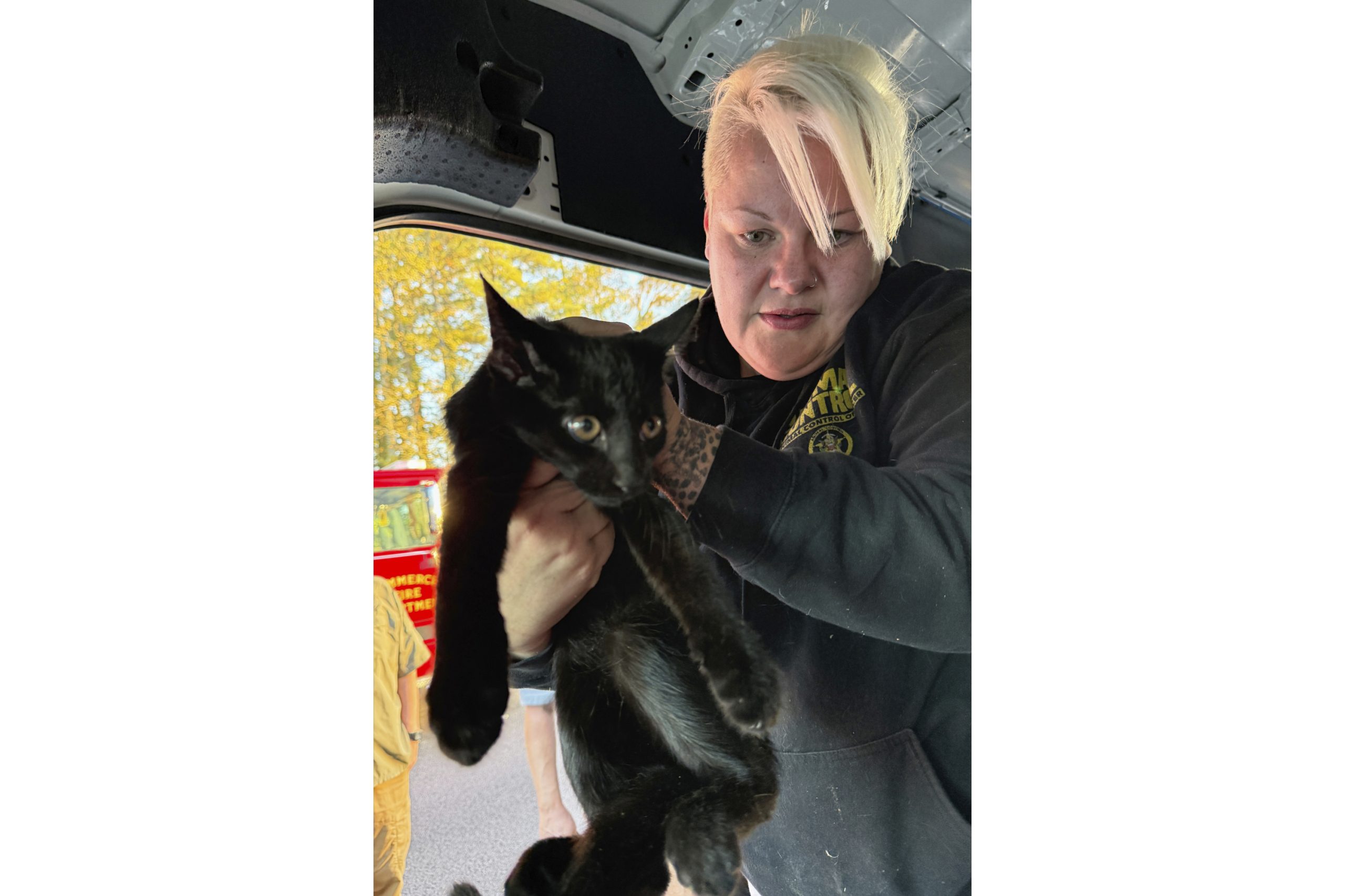 An eighth body was found at a Georgia highway crash between a semitrailer and van, official says