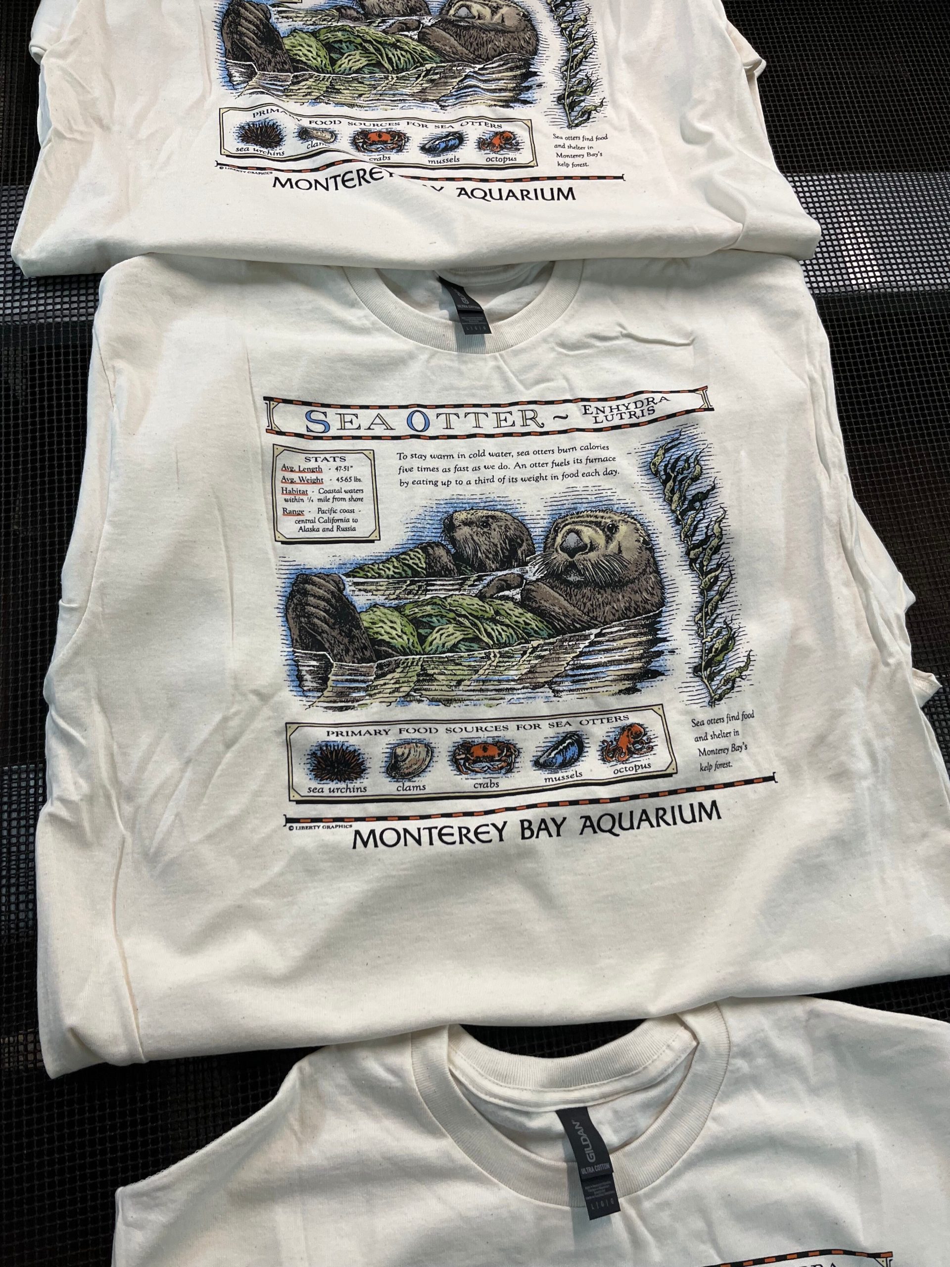 Taylor Swift’s film Easter egg sparks a $2M windfall for sea otters