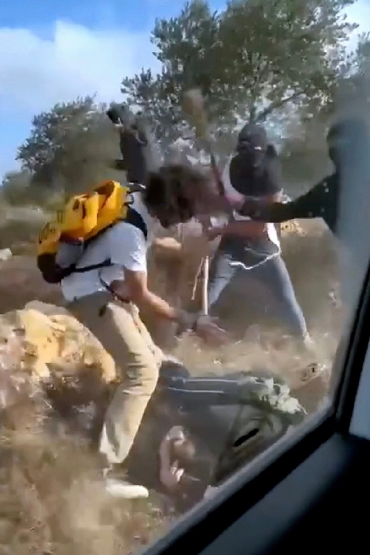 Israeli settlers beat Palestinian farmers on video as attacks mount during West Bank olive harvest