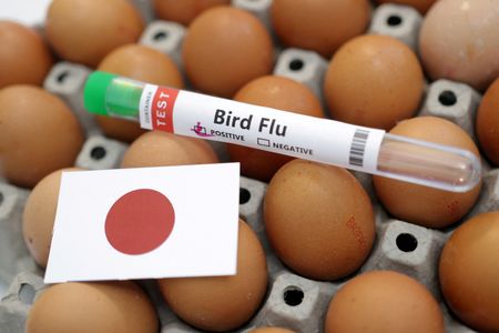 Japan reports bird flu outbreak in north of the country, WOAH says