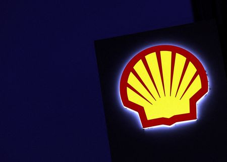 Shell applies to appeal against S.African court ruling blocking exploration