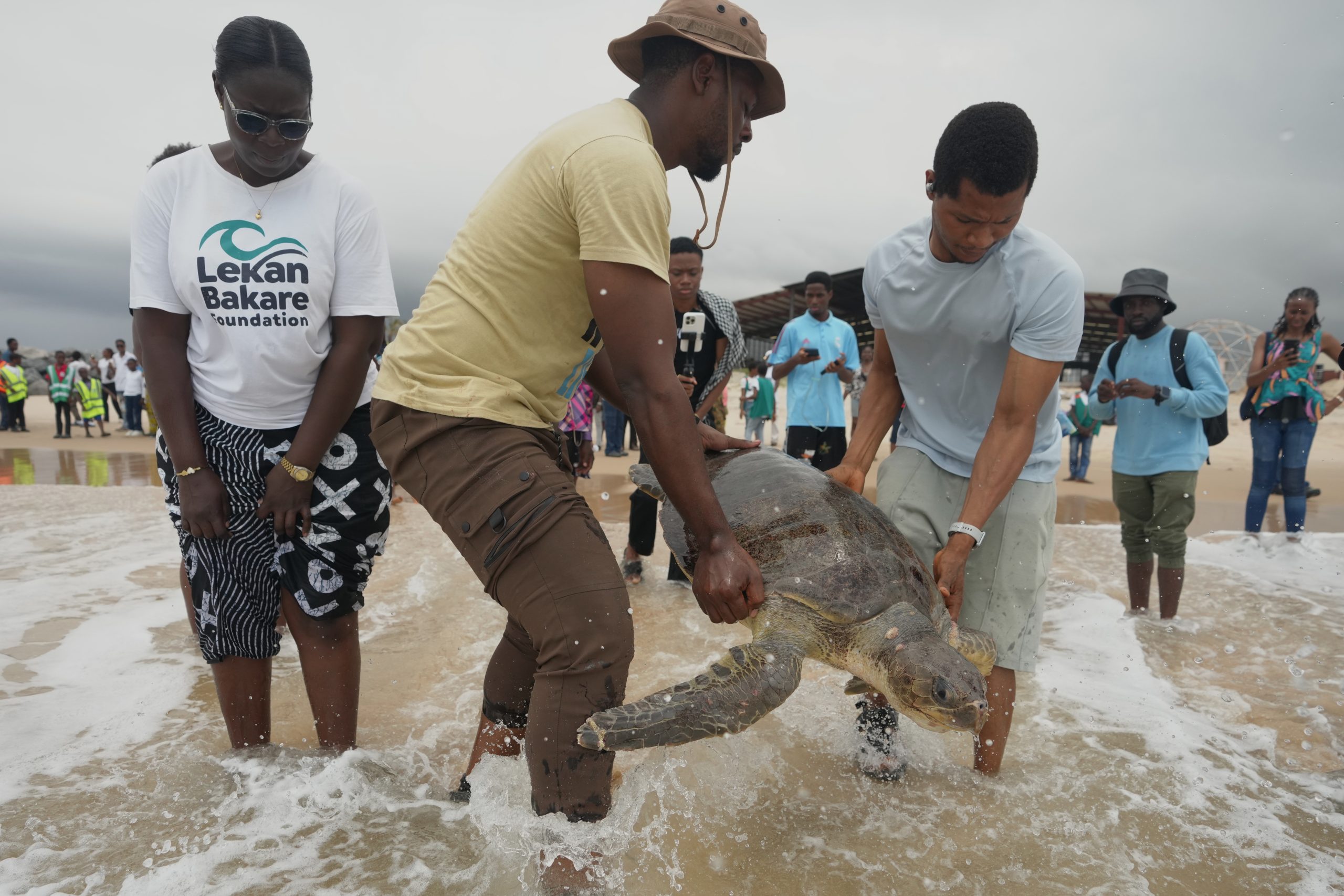 Conservation group rescues sea turtles caught in nets at Nigerian coastal city and rewards fishermen
