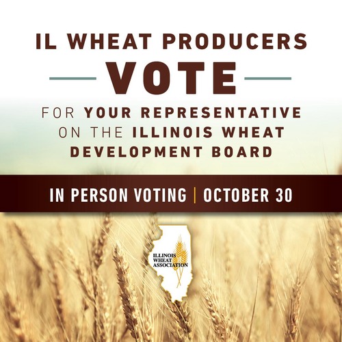 Henry County Wheat Producers Invited to Vote and Register as Write-In Candidates for October 30th Election