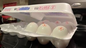 Dems from 26 states sue Feds to release funding for food