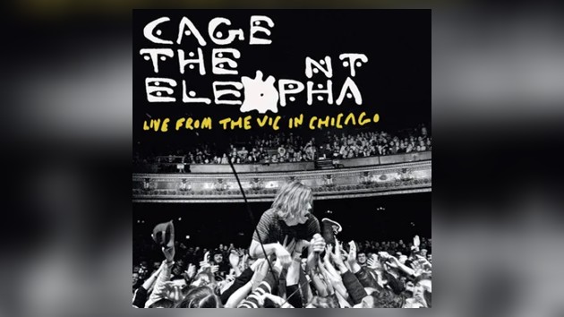 Here are the 2025 Record Store Day Black Friday releases