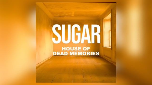How sweet: Sugar returns with first new music in over 30 years