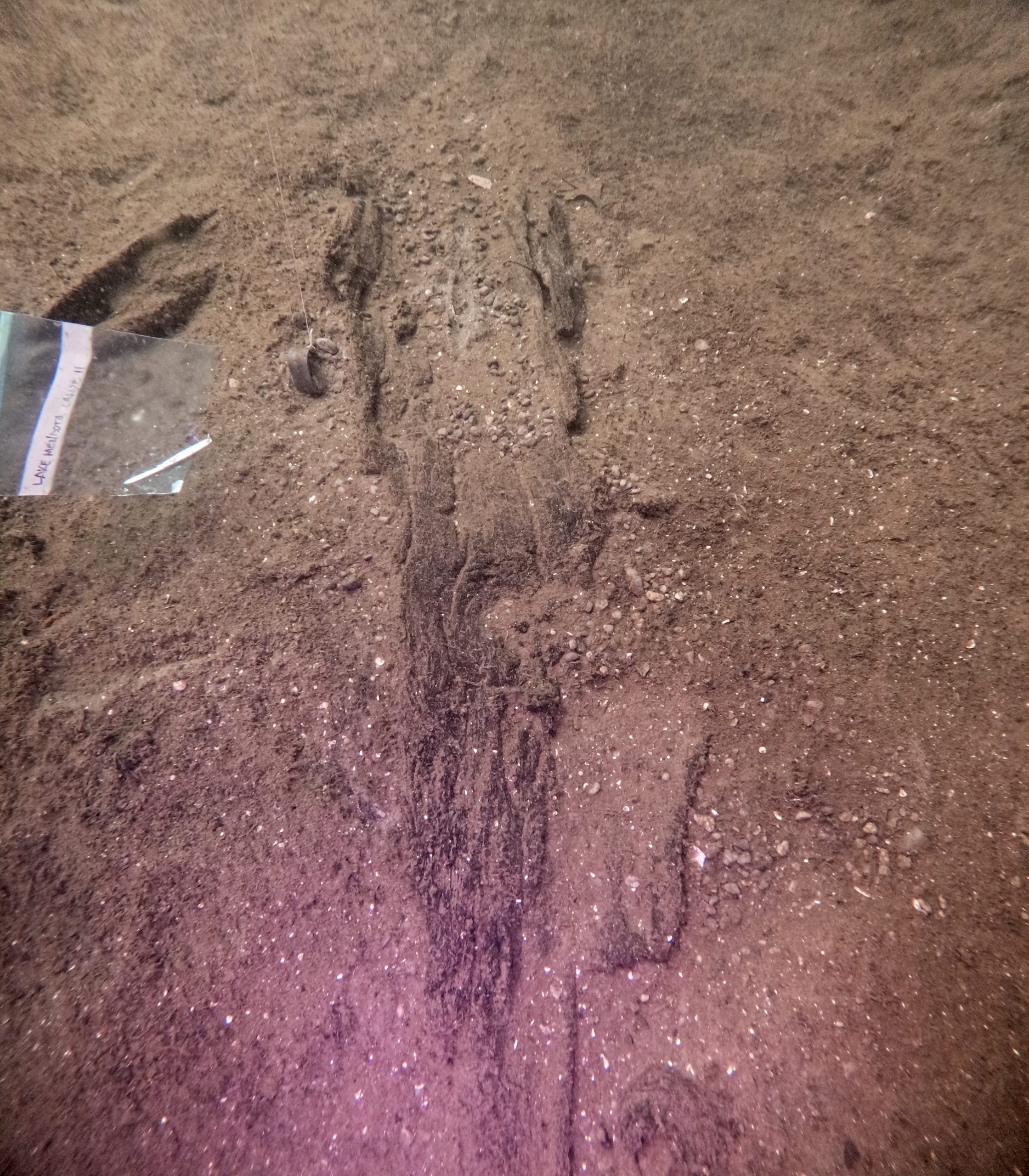 Wisconsin archaeologists identify 16 ancient canoes in a prehistoric lake ‘parking lot’