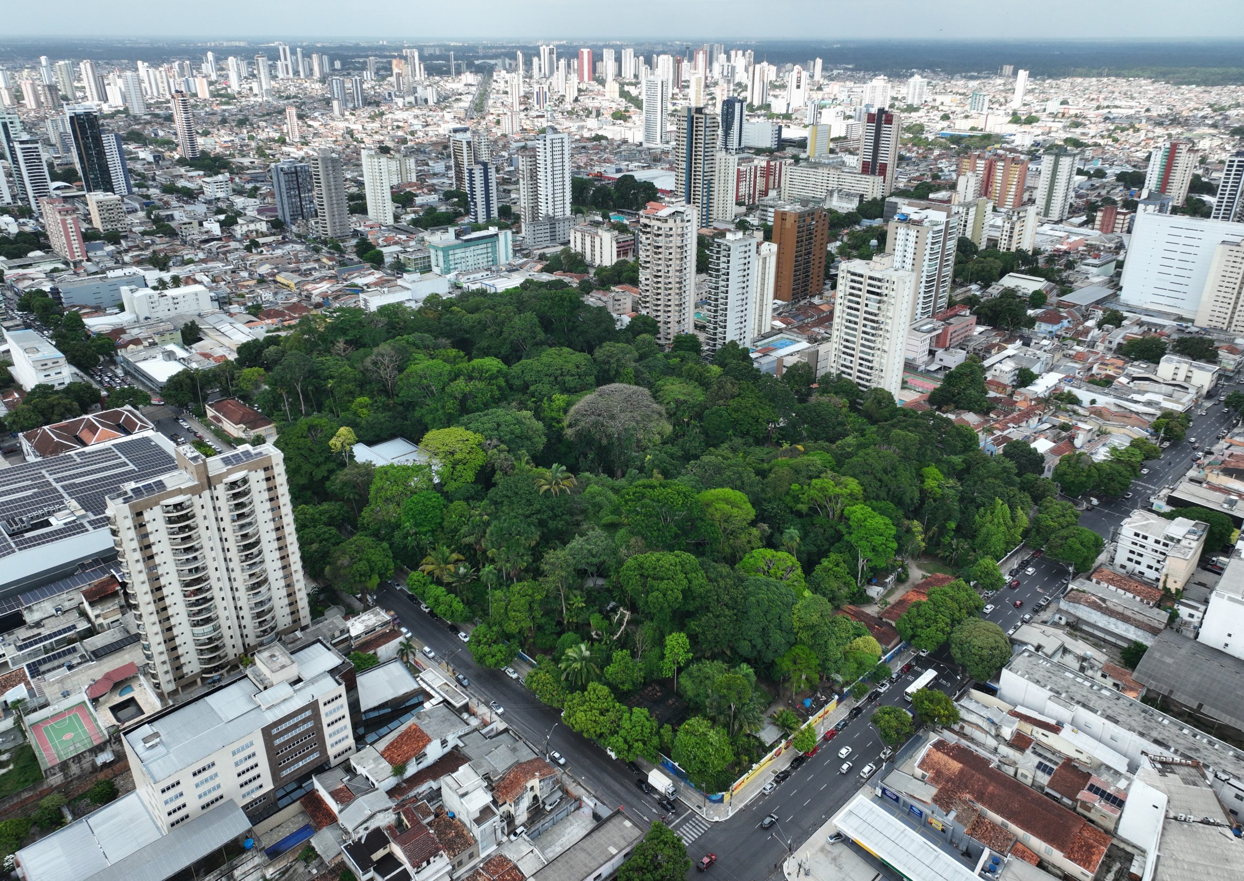 Gangs expand to nearly half the towns in the Brazilian Amazon,  report finds