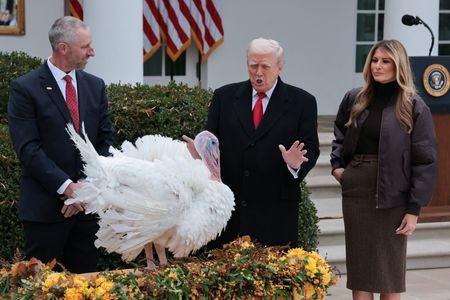 Trump adds Thanksgiving turkeys Gobble and Waddle to his long pardon list