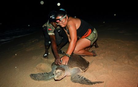 From hunters to guardians: Angolan villagers help to save endangered sea turtles