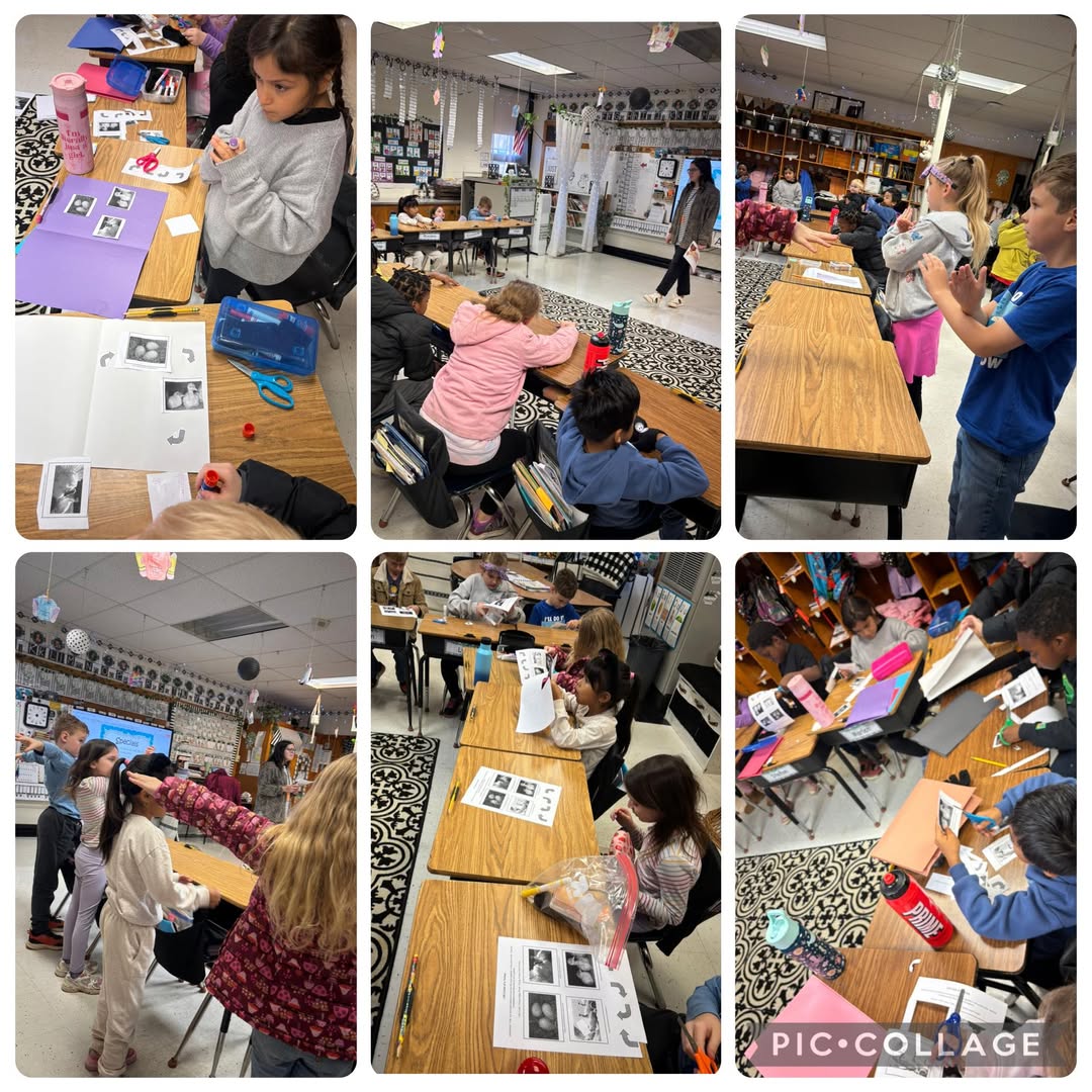 Second graders enjoyed the Ag in the Classroom lesson today with Miss Welsh! Students learned all about turkeys!