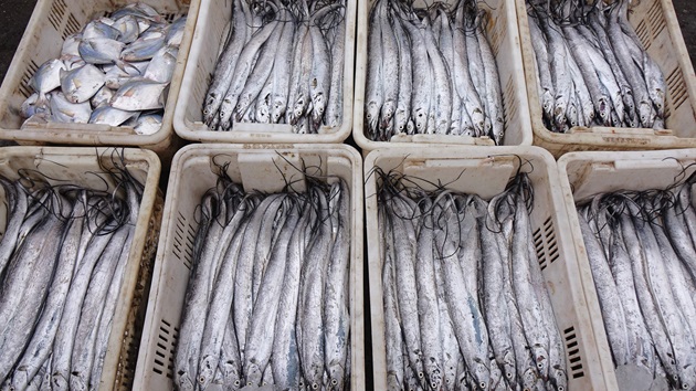 China to suspend imports of Japanese seafood in latest escalation over Taiwan comments