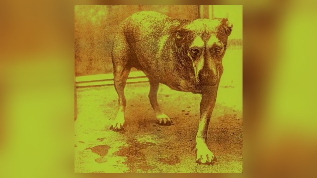 Alice in Chains announces 30th anniversary reissue of self-titled album