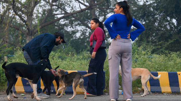 Indian Supreme Court’s order seeks to take bite out of stray dog problem. Observers say it’s mostly bark.