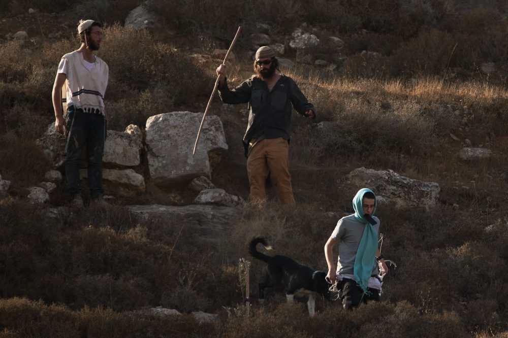 Photos capture West Bank olive harvest as villagers fear more violence by Israeli settlers