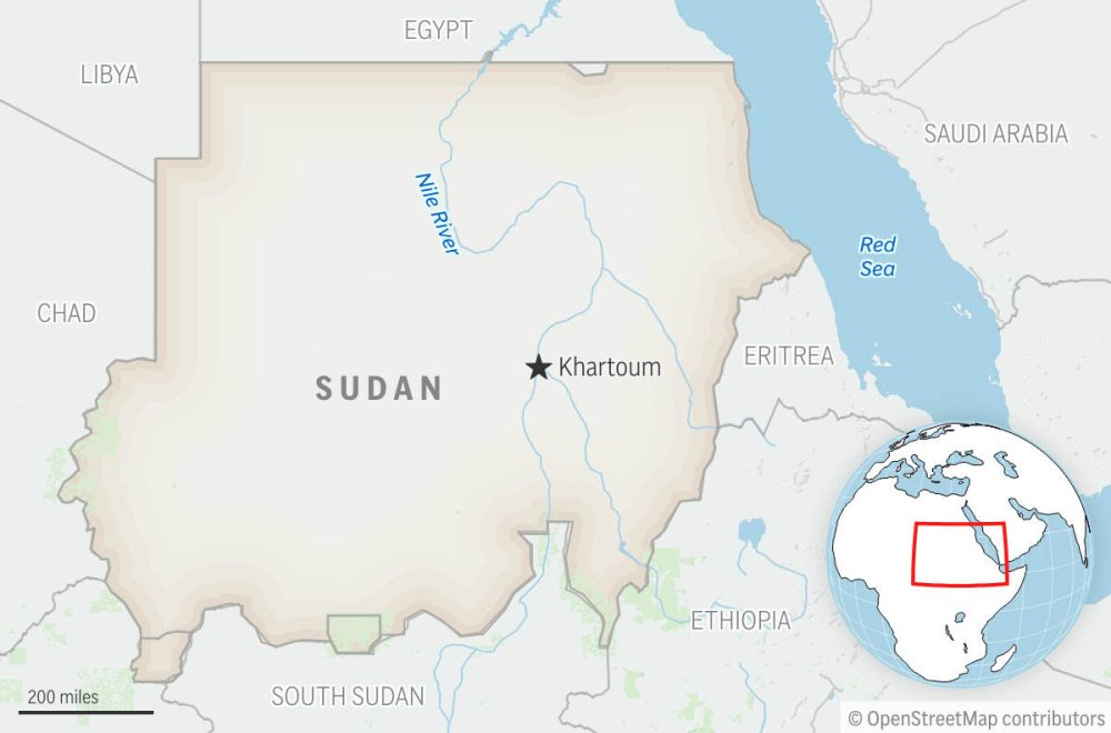 WHO says 114 people were killed, including 63 children, in last week’s drone strikes in Sudan