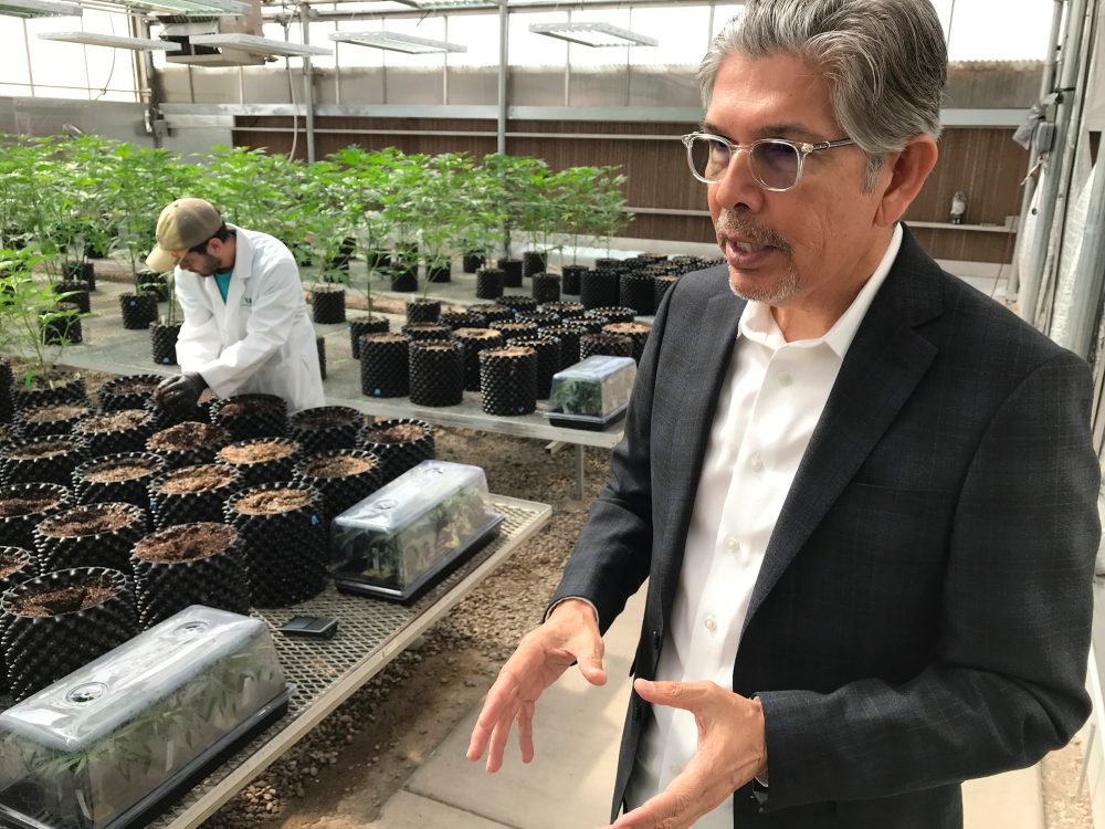 Cannabis entrepreneur Duke Rodriguez joins the race for New Mexico governor