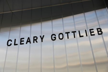 Law firm Cleary Gottlieb hires Alsheimer for activism practice