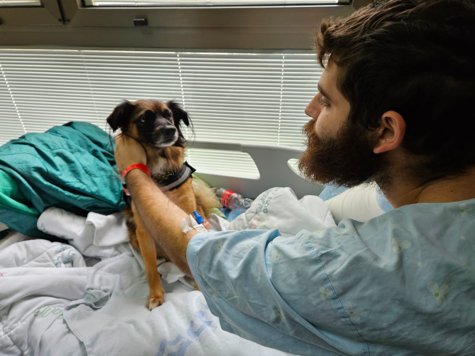 The Media Line: Can a Wagging Tail Speed Recovery?