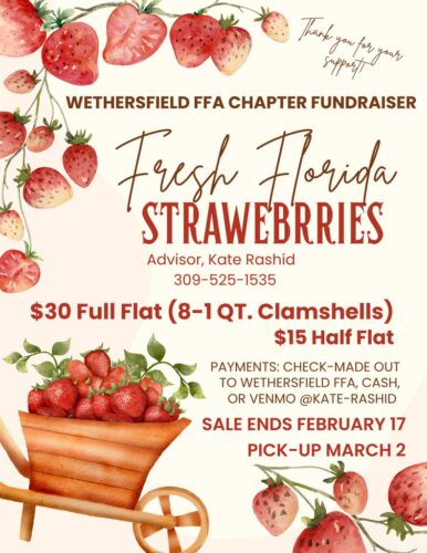 Support Wethersfield FFA with Fresh Florida Strawberry Fundraiser through February 17, 2026