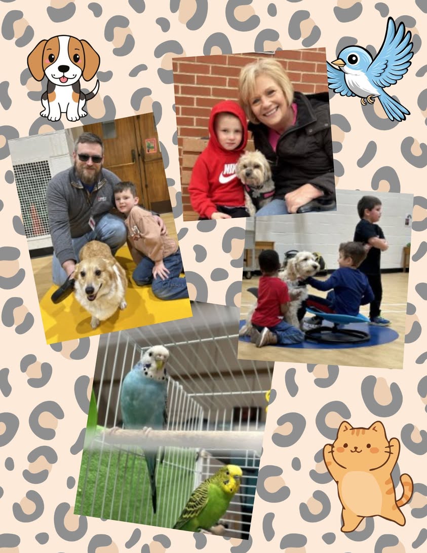 Mrs. Kessler’s pre-K classes enjoyed learning about pets and meeting our furry (& feathered!) friends this week. #mac185