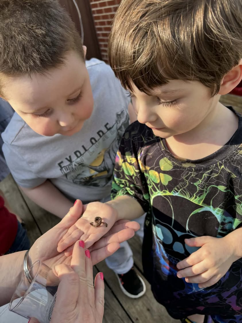 Mrs.Clark’s morning preschool class found a worm during bug exploration! 🪱 #mac185