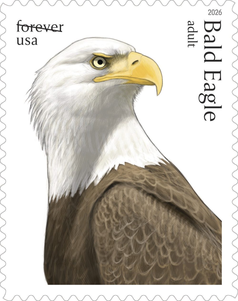 Postal Service releases special edition bald eagle stamps for America’s 250th