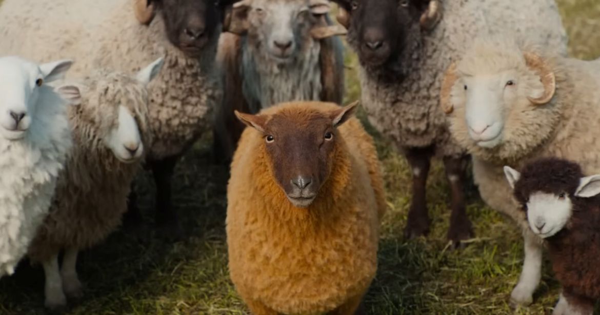 Flocking Awesome: “The Sheep Detectives,” “Billie Eilish – Hit Me Hard & Soft: The Tour Live in 3D,” and “Mortal Kombat II”